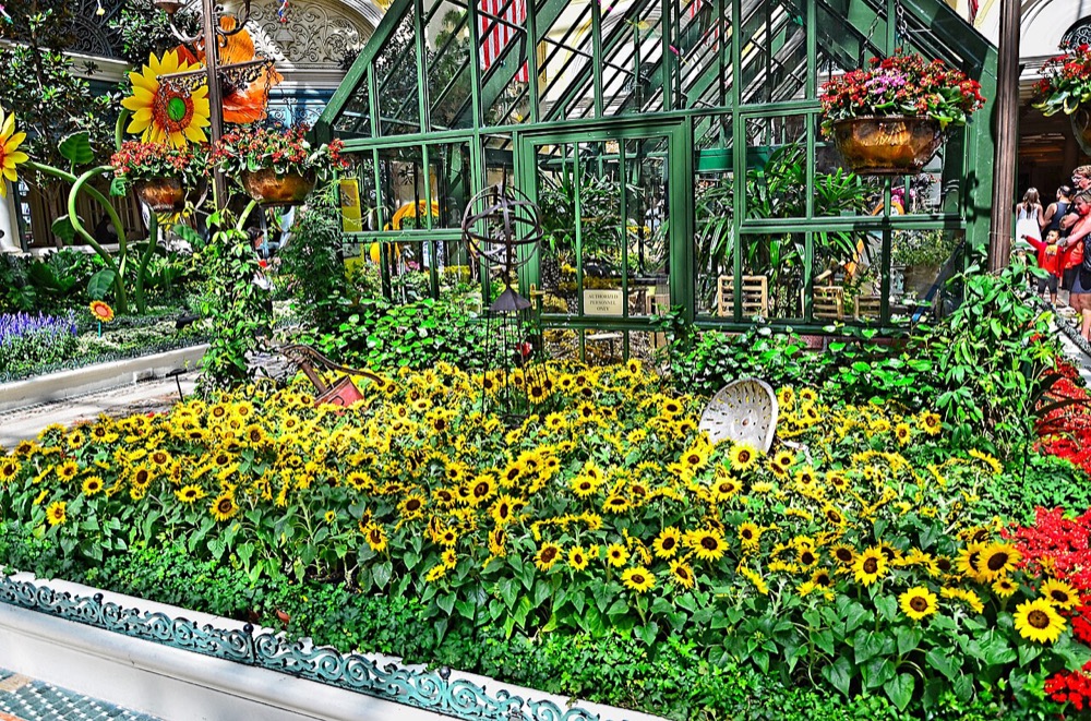 Reference view of Bellagio Conservatory