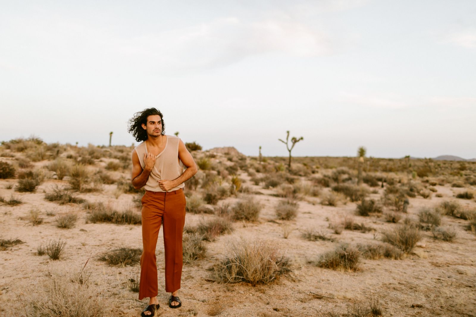 Reference view of Joshua Tree Portrait · Negative Space