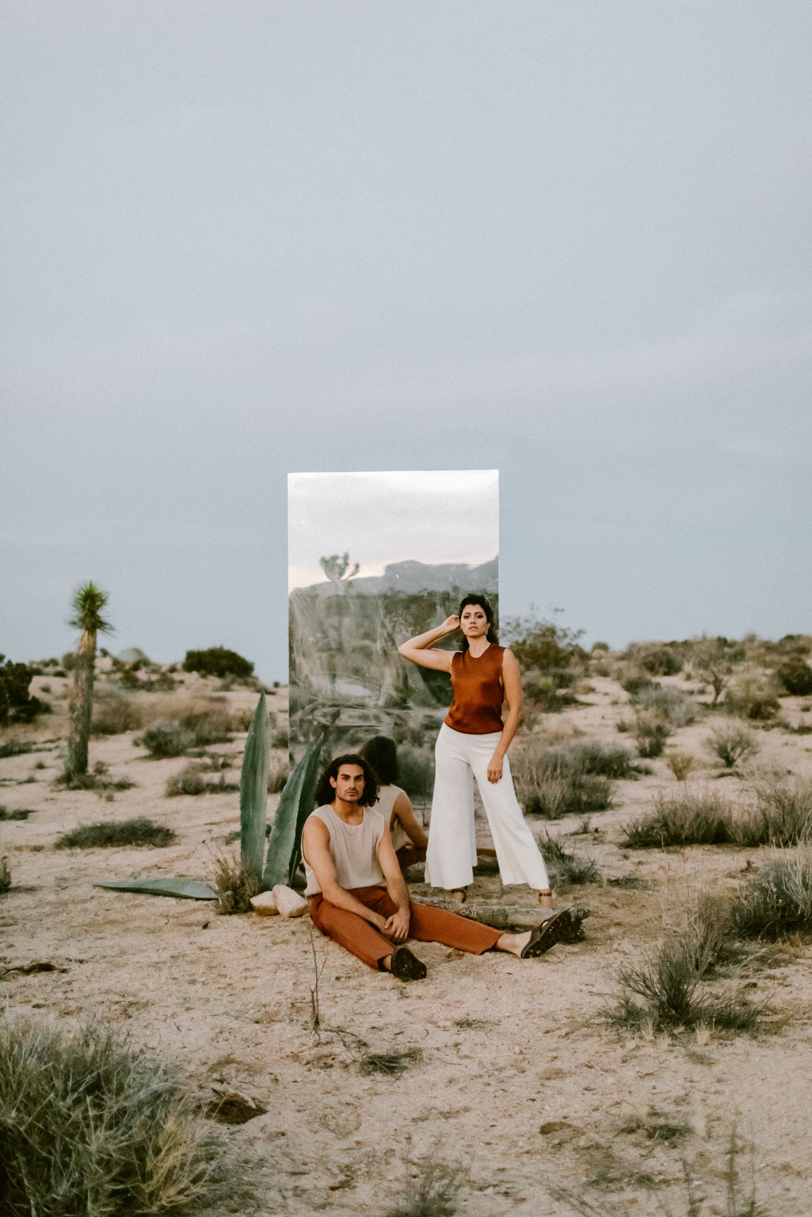 Reference view of Joshua Tree Portrait · Editorial