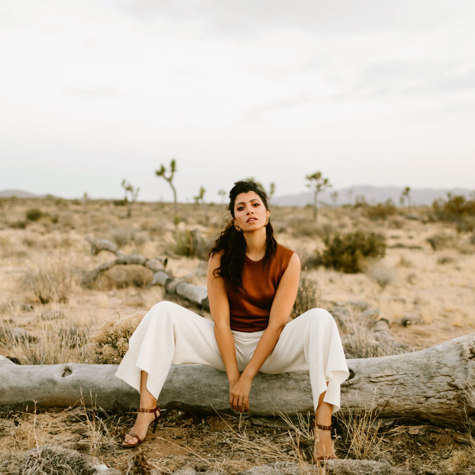 Reference view of Joshua Tree Portrait · Earth Tones