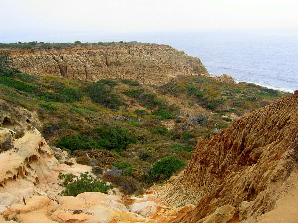 Reference view of Torrey Pines Reserve